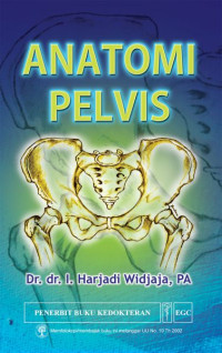 Anatomi pelvis