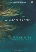 Yang-hilang-flynn.jpg